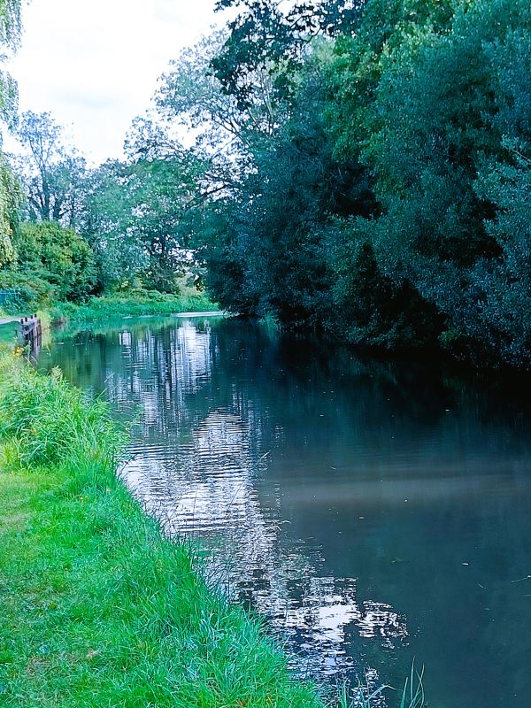 Wey Navigation